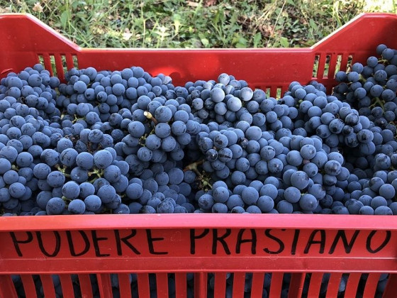 Podere Prasiano